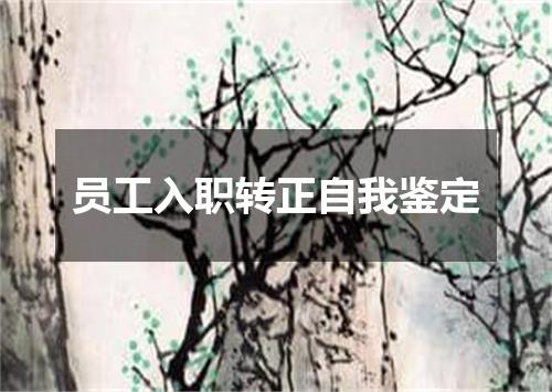 员工入职转正自我鉴定