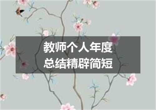 教师个人年度总结精辟简短