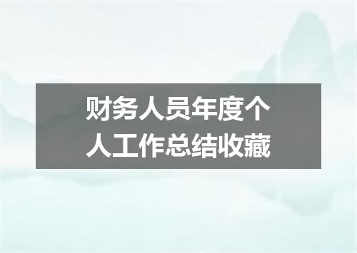 财务人员年度个人工作总结收藏