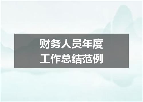 财务人员年度工作总结范例