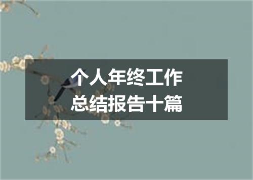 个人年终工作总结报告十篇