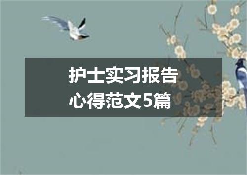 护士实习报告心得范文5篇