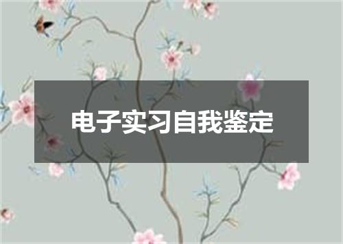电子实习自我鉴定