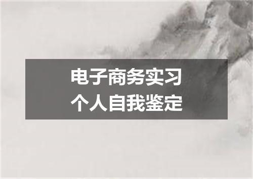 电子商务实习个人自我鉴定