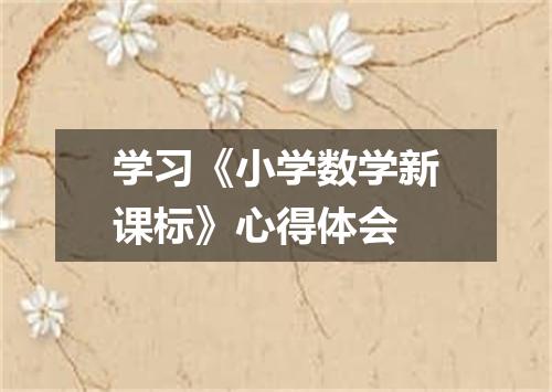 学习《小学数学新课标》心得体会