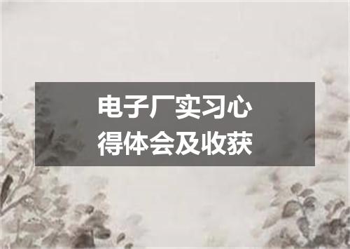 电子厂实习心得体会及收获