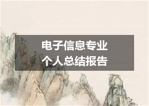 电子信息专业个人总结报告