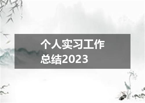 个人实习工作总结2023