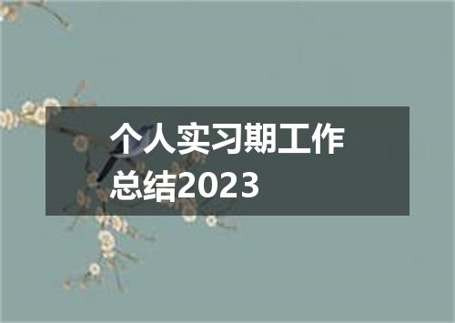个人实习期工作总结2023