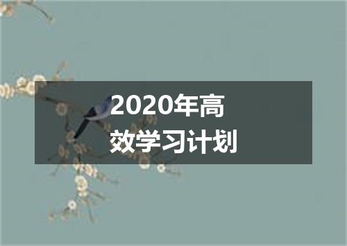 2020年高效学习计划