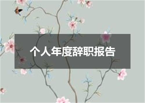 个人年度辞职报告