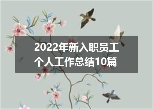 2022年新入职员工个人工作总结10篇
