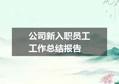 公司新入职员工工作总结报告