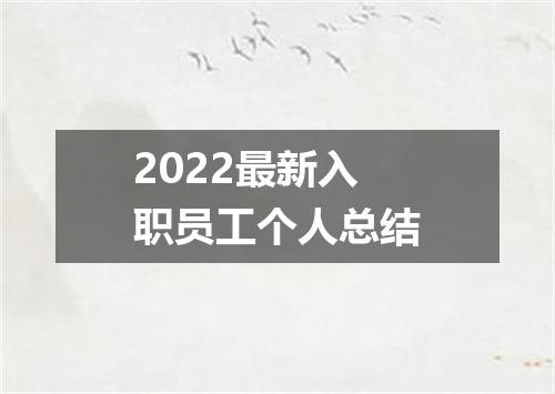 2022最新入职员工个人总结