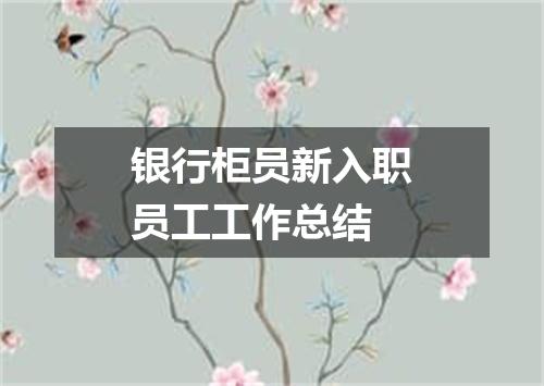 银行柜员新入职员工工作总结