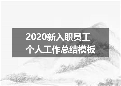 2020新入职员工个人工作总结模板