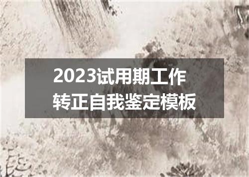 2023试用期工作转正自我鉴定模板