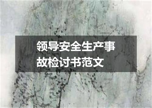 领导安全生产事故检讨书范文