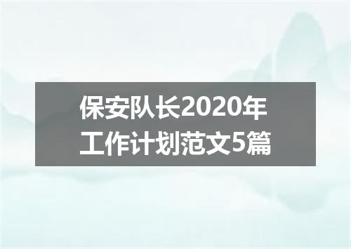 保安队长2020年工作计划范文5篇