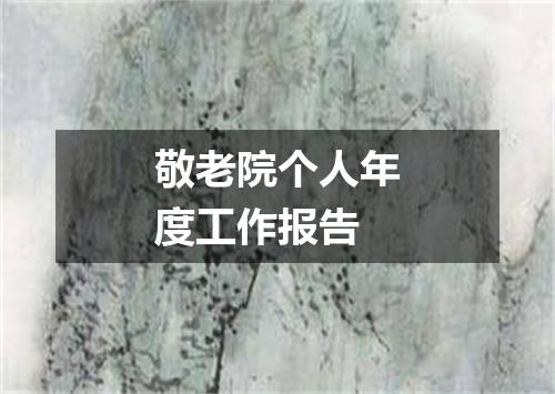 敬老院个人年度工作报告
