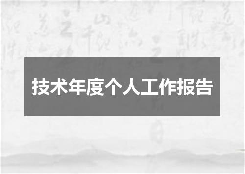 技术年度个人工作报告