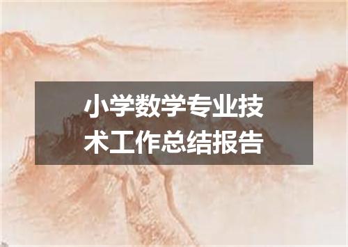 小学数学专业技术工作总结报告