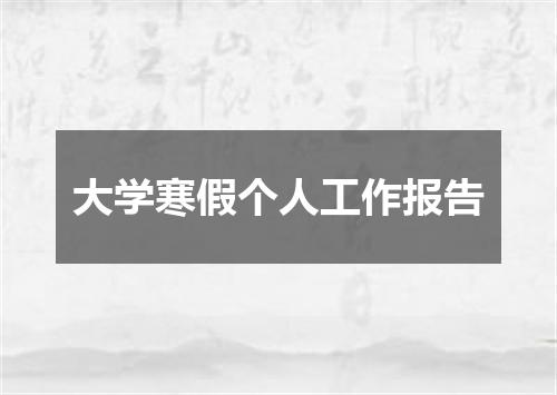 大学寒假个人工作报告