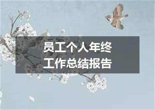 员工个人年终工作总结报告