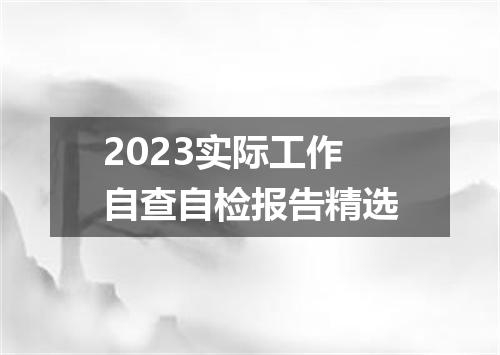 2023实际工作自查自检报告精选