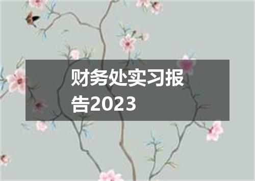 财务处实习报告2023