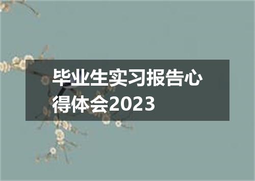 毕业生实习报告心得体会2023