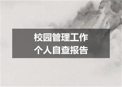 校园管理工作个人自查报告