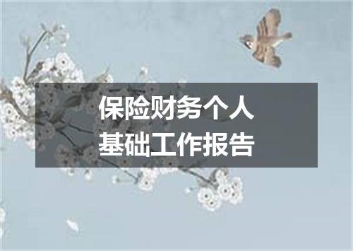 保险财务个人基础工作报告