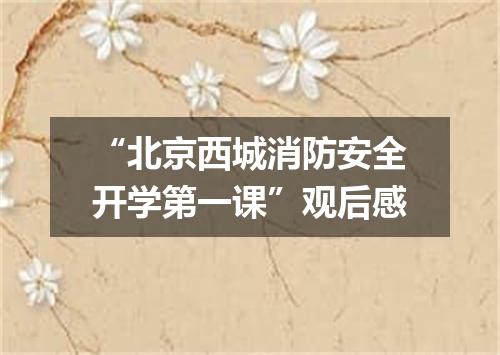 “北京西城消防安全开学第一课”观后感