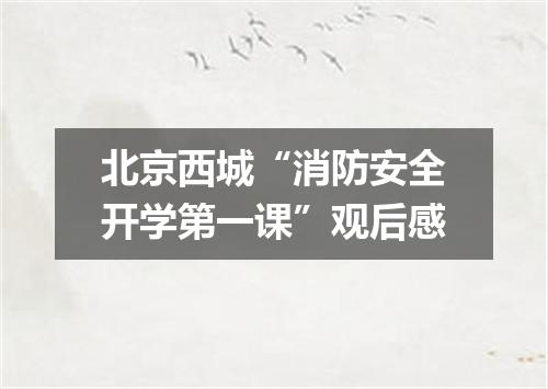 北京西城“消防安全开学第一课”观后感