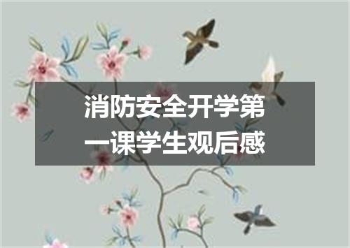 消防安全开学第一课学生观后感