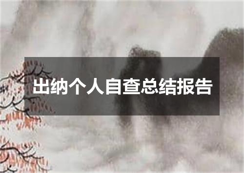 出纳个人自查总结报告