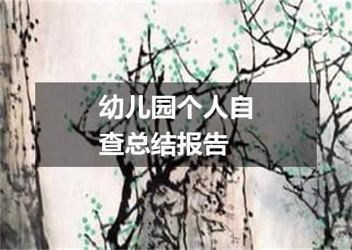 幼儿园个人自查总结报告