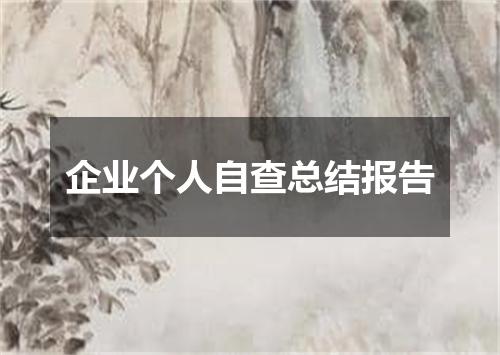 企业个人自查总结报告