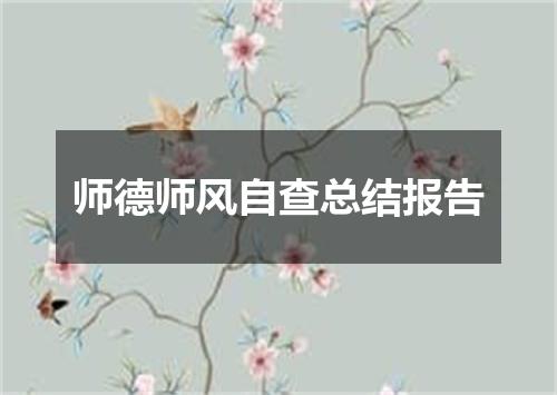 师德师风自查总结报告