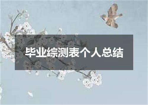 毕业综测表个人总结