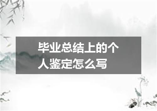 毕业总结上的个人鉴定怎么写