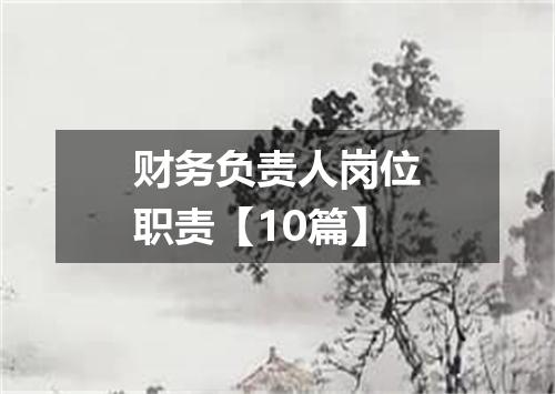 财务负责人岗位职责【10篇】