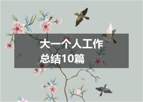 大一个人工作总结10篇