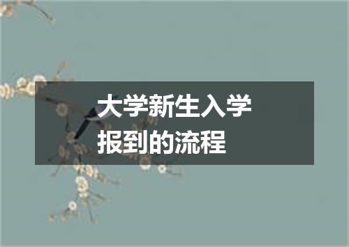 大学新生入学报到的流程