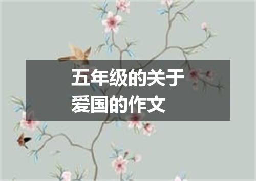 五年级的关于爱国的作文