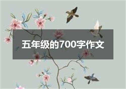 五年级的700字作文