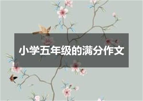 小学五年级的满分作文
