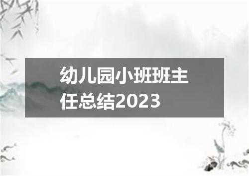 幼儿园小班班主任总结2023