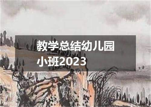 教学总结幼儿园小班2023